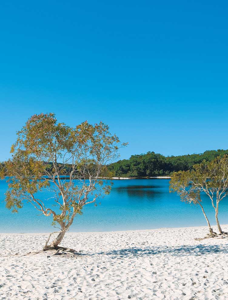 Fraser Coast Management Rights