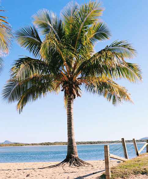 Maroochydore Management Rights